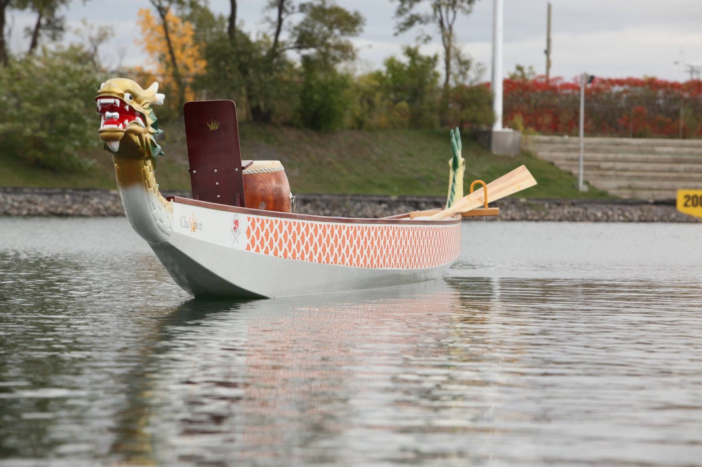 Location bateau dragon